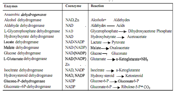 1878_Coenzyme activity.png